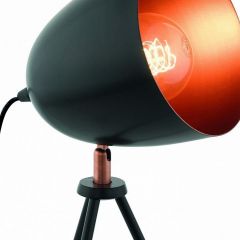 Настольная лампа декоративная Eglo ПРОМО Chester 49385 | фото 2