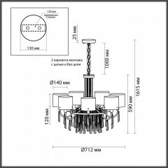 Подвесная люстра Odeon Light Nicole 4886/7 | фото 7