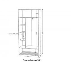 ОЛЬГА-МИЛК 10.1 Шкаф-купе без зеркала | фото 2
